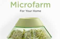 Modern Kitchen Sprouting Systems