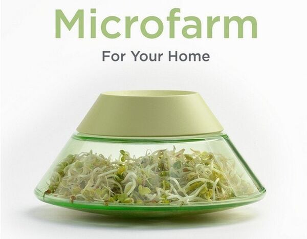 Modern Kitchen Sprouting Systems