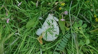 Biodegradable Kitchen Sponges Image 8