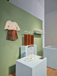 Bio-Leather Fungal Protectants Image 2