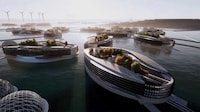 Floating City Networks