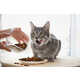 Clean Label Cat Foods Image 1