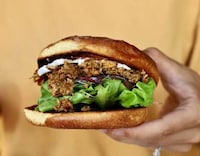 Cashew Fruit Meat Alternatives Image 1