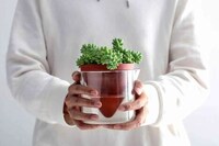 Naturalistic Self-Watering Planters Image 1
