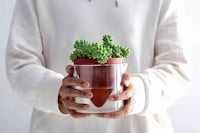 Naturalistic Self-Watering Planters