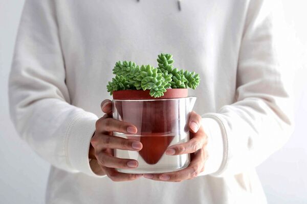 Naturalistic Self-Watering Planters