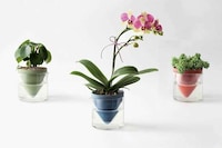 Naturalistic Self-Watering Planters Image 2