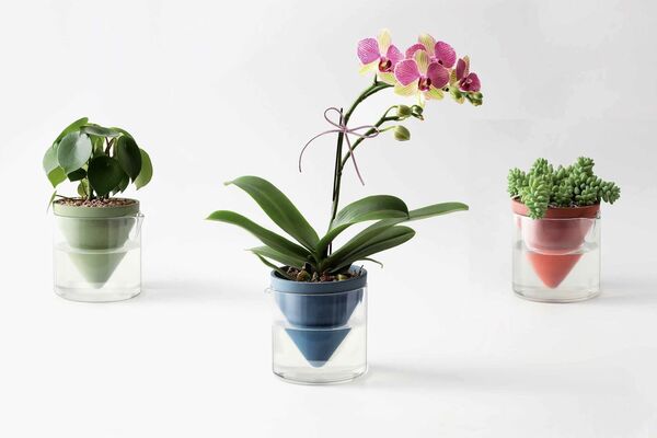 Naturalistic Self-Watering Planters Image 2