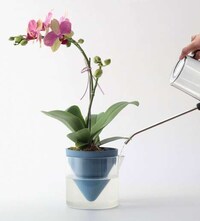 Naturalistic Self-Watering Planters Image 3