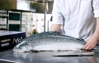 Premium Antibiotic-Free Salmon Image 2