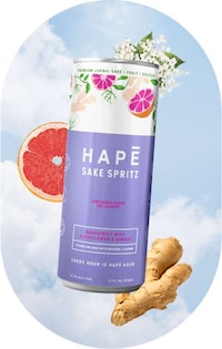 Supermodel-Backed Sake Seltzers Image 4