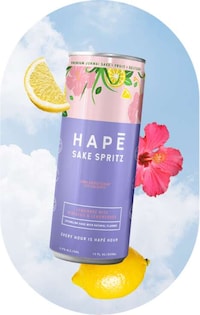 Supermodel-Backed Sake Seltzers Image 6