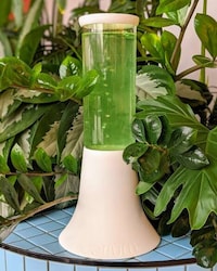 Algae-Powered Air Purifiers