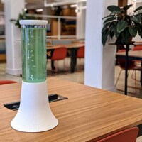 Algae-Powered Air Purifiers Image 4
