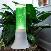 Algae-Powered Air Purifiers Image 7