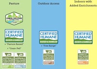 Cruelty-Free Grocery Catalogues