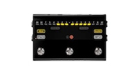 Digitized Guitar Whammy Bars Image 2