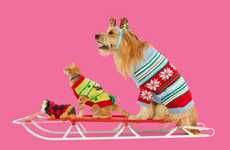 Festive Pet Product Collections