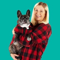 Festive Pet Product Collections Image 2