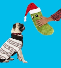Festive Pet Product Collections Image 3