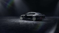 Luxury Platinum-Painted Sports Cars Image 2