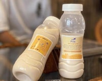 Alternative Plant Beverages