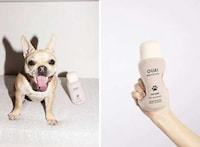 Salon-Quality Pet Shampoos Image 1