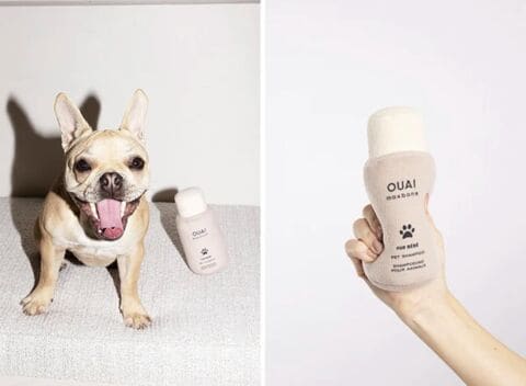 Salon-Quality Pet Shampoos