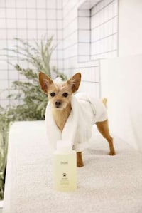 Salon-Quality Pet Shampoos Image 4