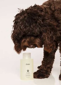 Salon-Quality Pet Shampoos Image 5