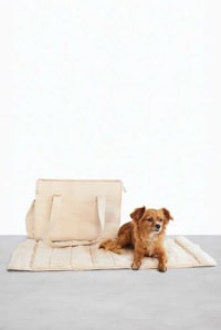 Travel-Friendly Pet Carriers Image 1