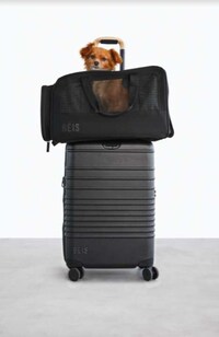Travel-Friendly Pet Carriers Image 3