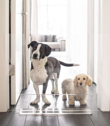 Luxurious Lucite Pet Furniture