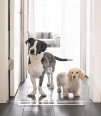 Luxurious Lucite Pet Furniture Image 1