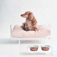 Luxurious Lucite Pet Furniture Image 3