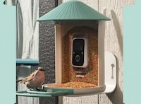 AI-Powered Bird Feeder Cameras Image 1