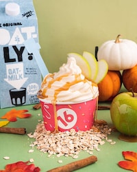 Autumnal Vegan Soft Serves Image 1