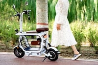 Pet-Friendly E-Scooters Image 3