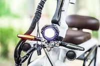 Pet-Friendly E-Scooters Image 6