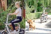 Pet-Friendly E-Scooters Image 7
