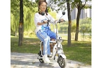 Pet-Friendly E-Scooters Image 8