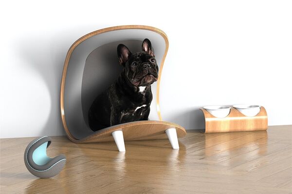 Minimalist Pet Decor Products