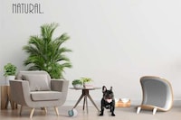 Minimalist Pet Decor Products Image 5