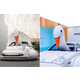 Luxury Swan Art Vehicles Image 7