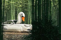 Luxury Swan Art Vehicles Image 8