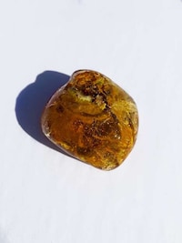 Crystal-Shaped Teas Image 5