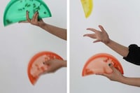Reusable Folding Storage Plates Image 5