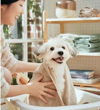 Vegan-Certified Pet Hair Products Image 1