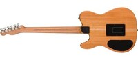 Eclectic Electro-Acoustic Guitar Image 6