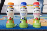 Veggie-Rich Yogurt Smoothies